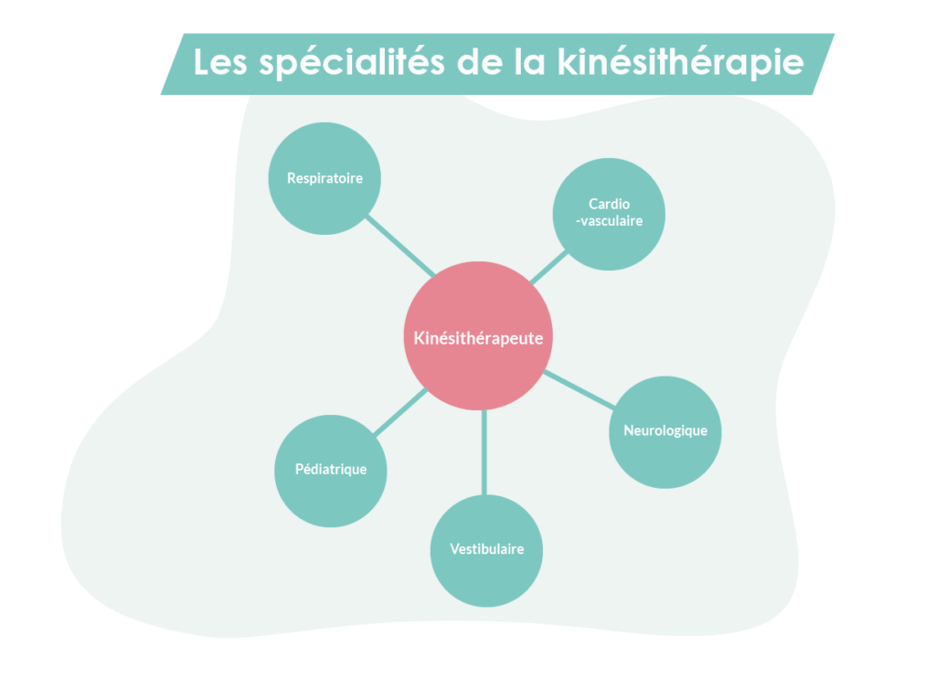 Role Du Kin Fiche M tier Du Kin sith rapie MTOW